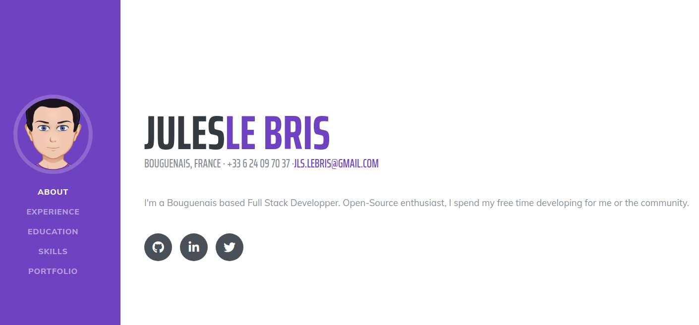 Resume project example